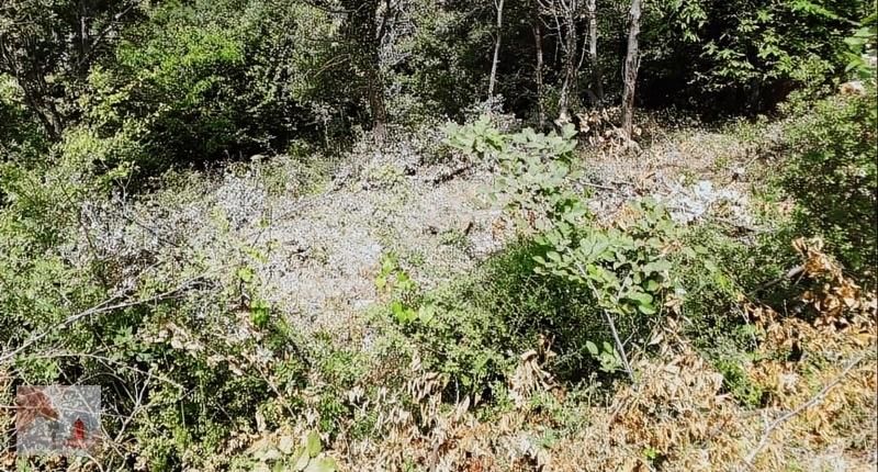 Gemlik,şahinyurdunda,köyiçi,yolacepheli Satılık Arsa - Görsel 7
