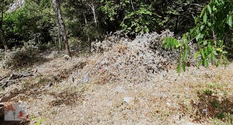 Gemlik,şahinyurdunda,köyiçi,yolacepheli Satılık Arsa - Görsel 5