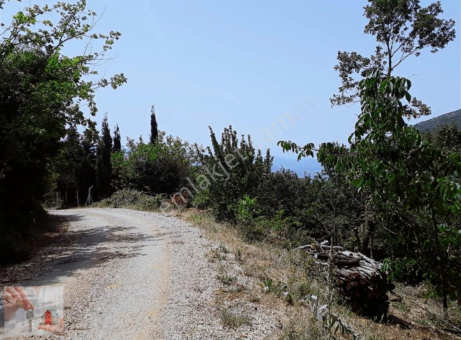 Gemlik,şahinyurdunda,köyiçi,yolacepheli Satılık Arsa - Görsel 6