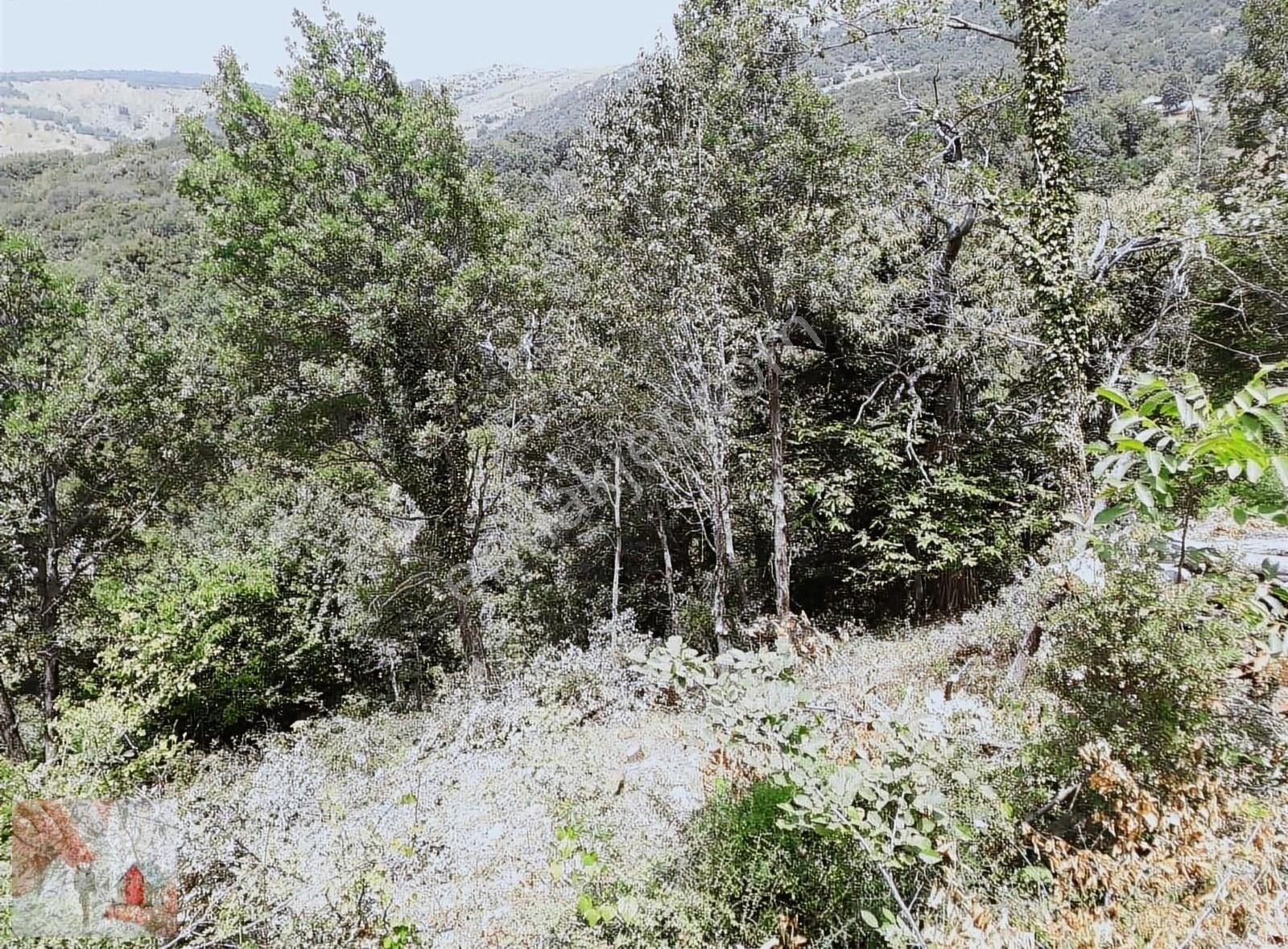 Gemlik,şahinyurdunda,köyiçi,yolacepheli Satılık Arsa - Görsel 8