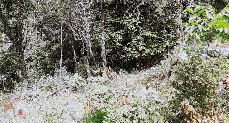 Gemlik,şahinyurdunda,köyiçi,yolacepheli Satılık Arsa - Görsel 3