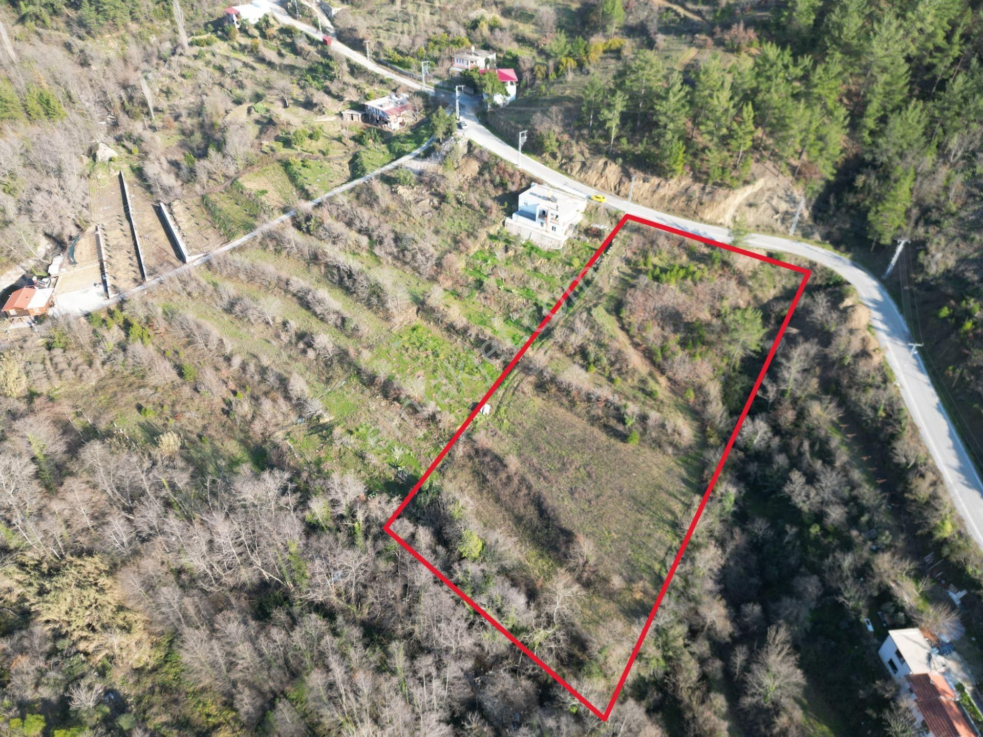 Alanya Sapadere Mah. Bungalov Yapımına Uygun Dereye Sıfır 3200 M2 Satılık Tarla - Görsel 2