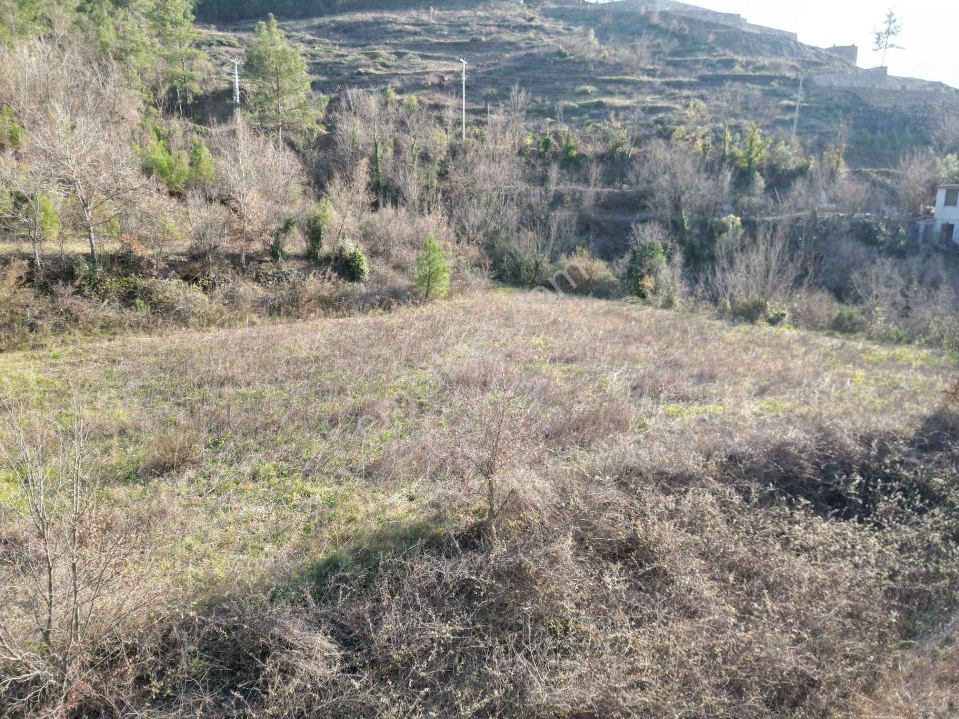 Alanya Sapadere Mah. Bungalov Yapımına Uygun Dereye Sıfır 3200 M2 Satılık Tarla - Görsel 12