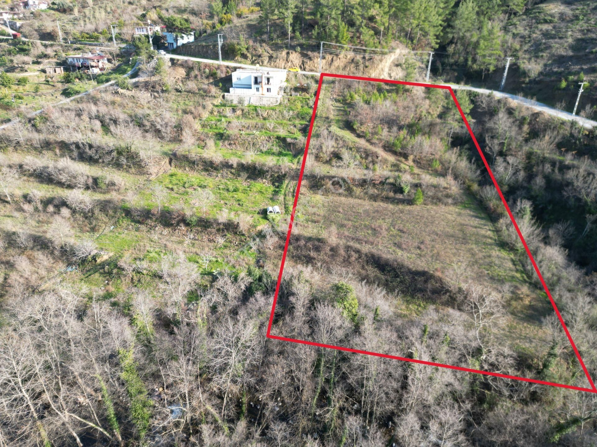 Alanya Sapadere Mah. Bungalov Yapımına Uygun Dereye Sıfır 3200 M2 Satılık Tarla - Görsel 10