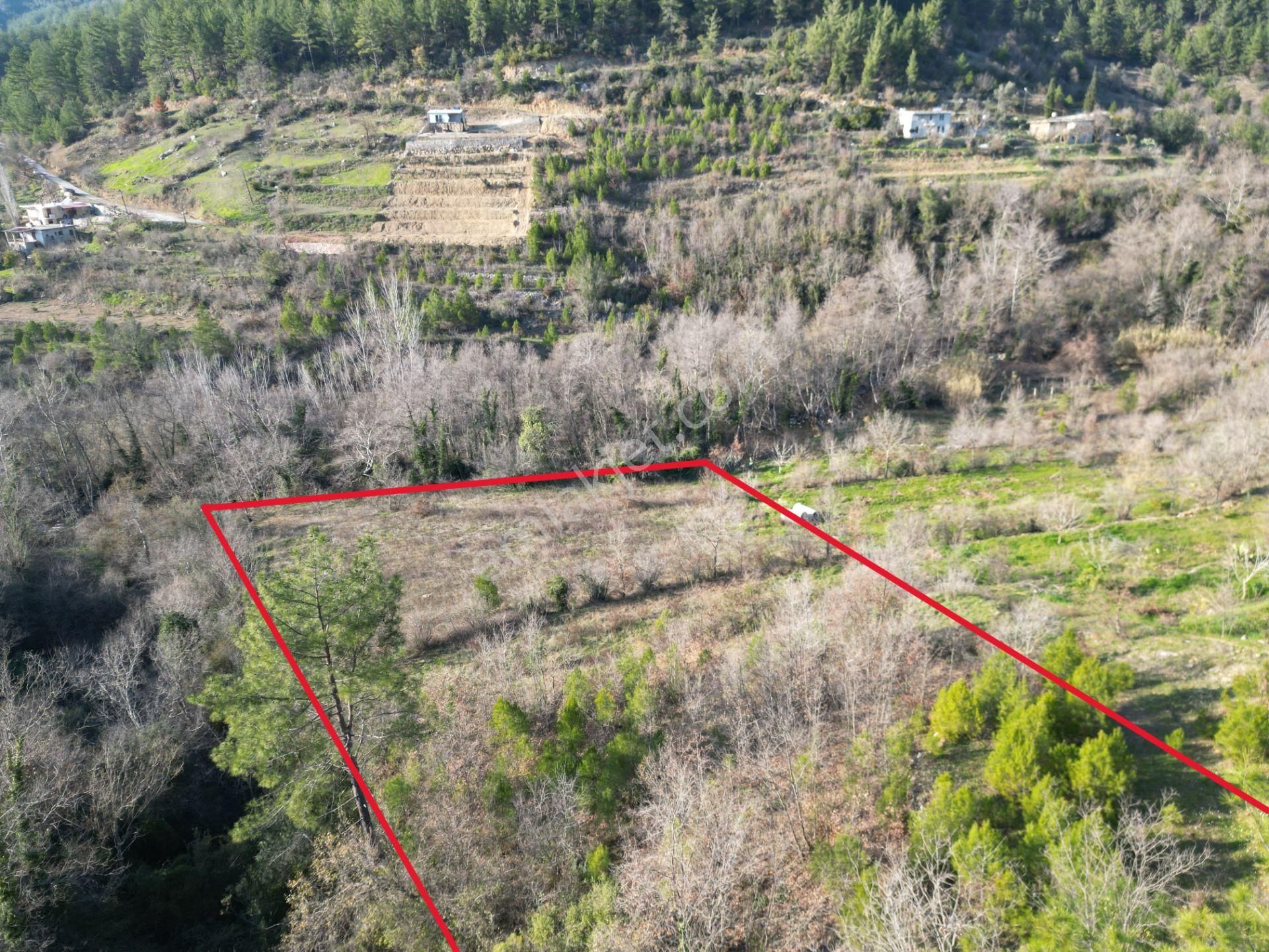 Alanya Sapadere Mah. Bungalov Yapımına Uygun Dereye Sıfır 3200 M2 Satılık Tarla - Görsel 7