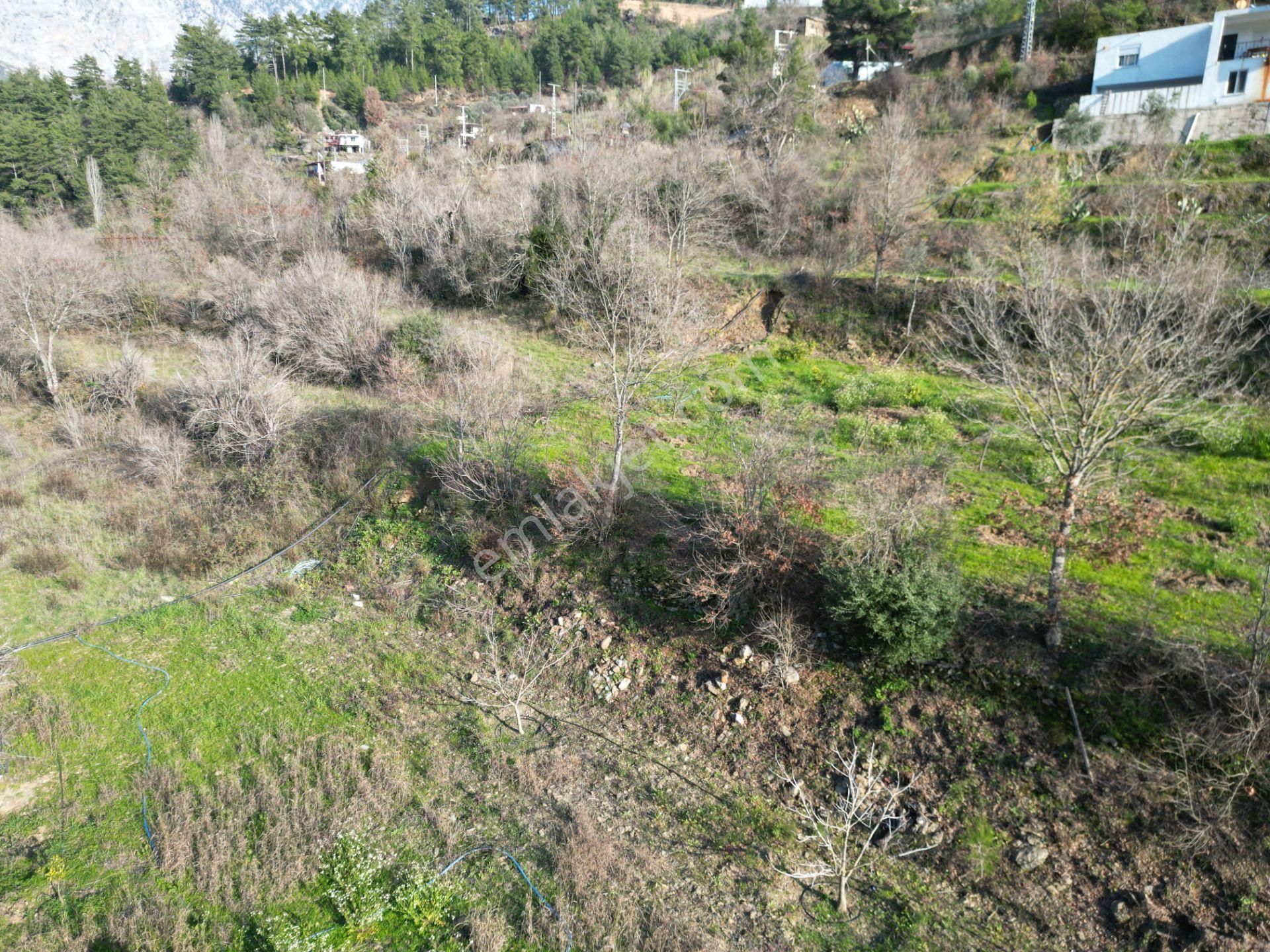 Alanya Sapadere Mah. Bungalov Yapımına Uygun Dereye Sıfır 3200 M2 Satılık Tarla - Görsel 11