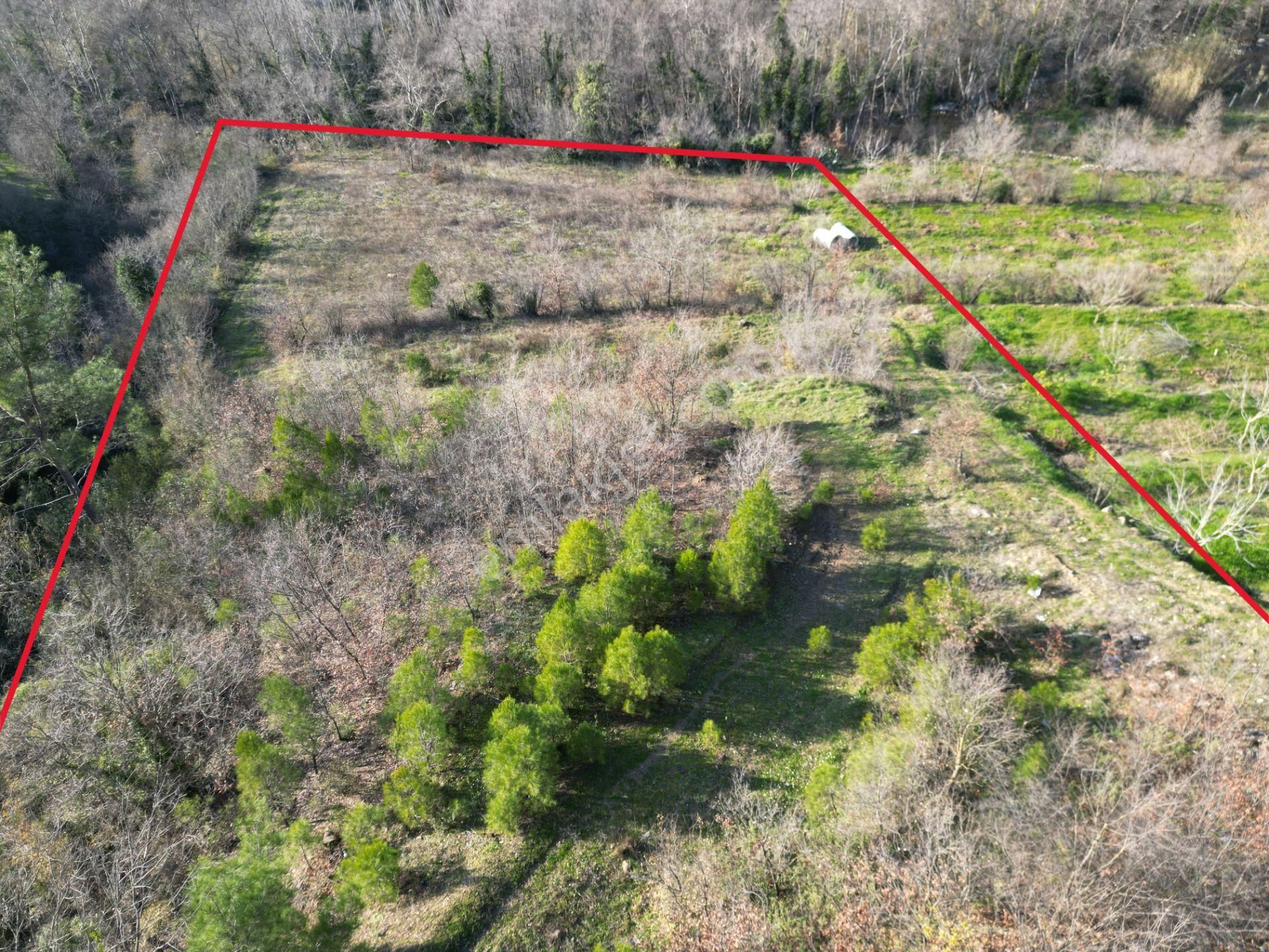 Alanya Sapadere Mah. Bungalov Yapımına Uygun Dereye Sıfır 3200 M2 Satılık Tarla - Görsel 8