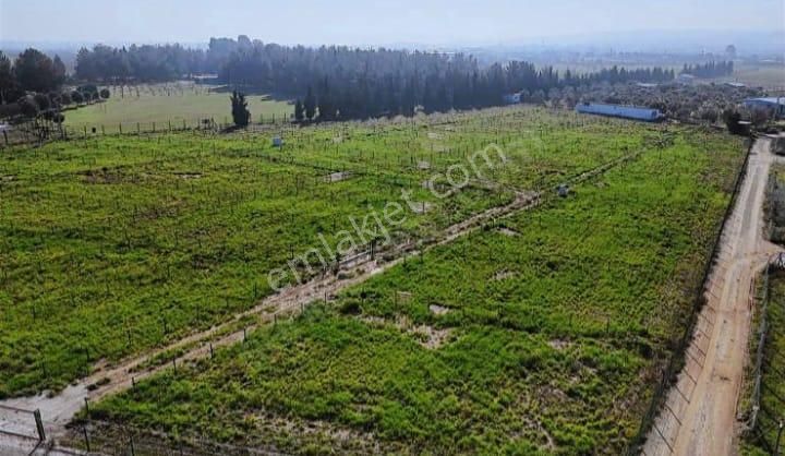 Turpa Lotus'tan 301 M2 Parsellerde Satılık Kooparatif Parselleri