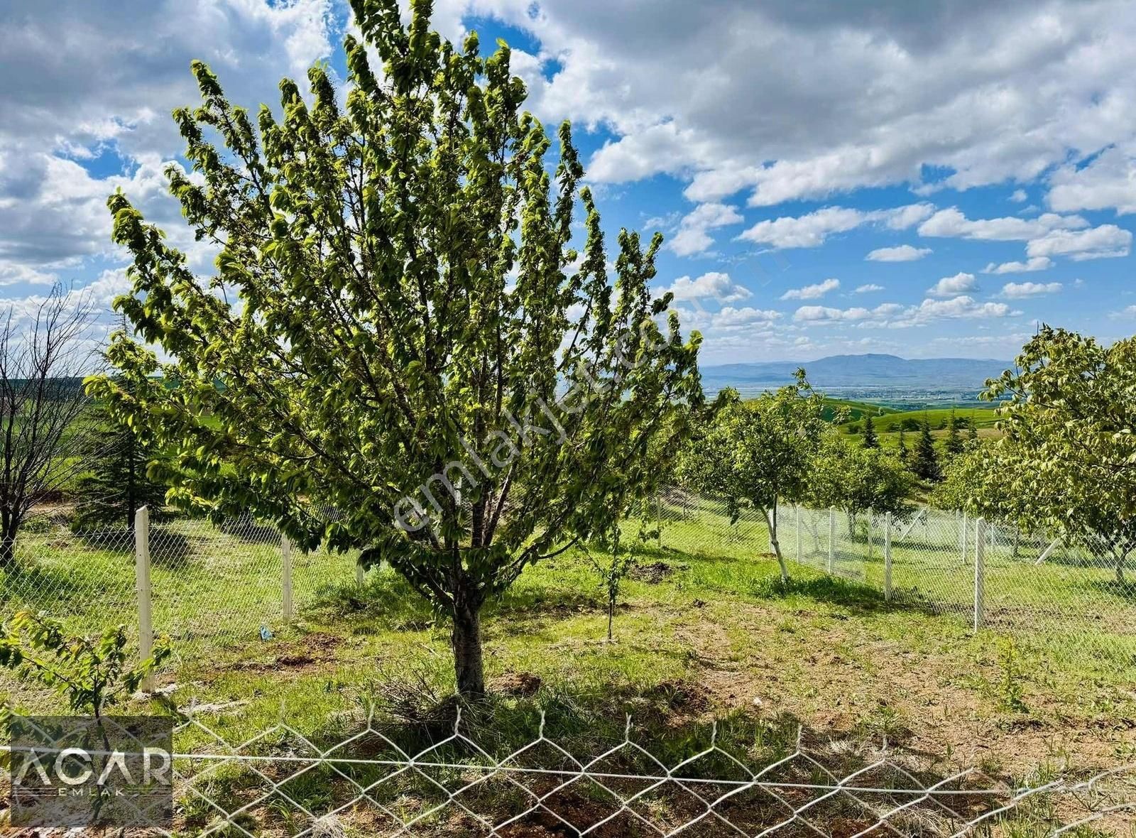 Taş Desenli Doğa İle İç İçe, Elektrik-su-manzara-huzur Ne Arasan - Görsel 7