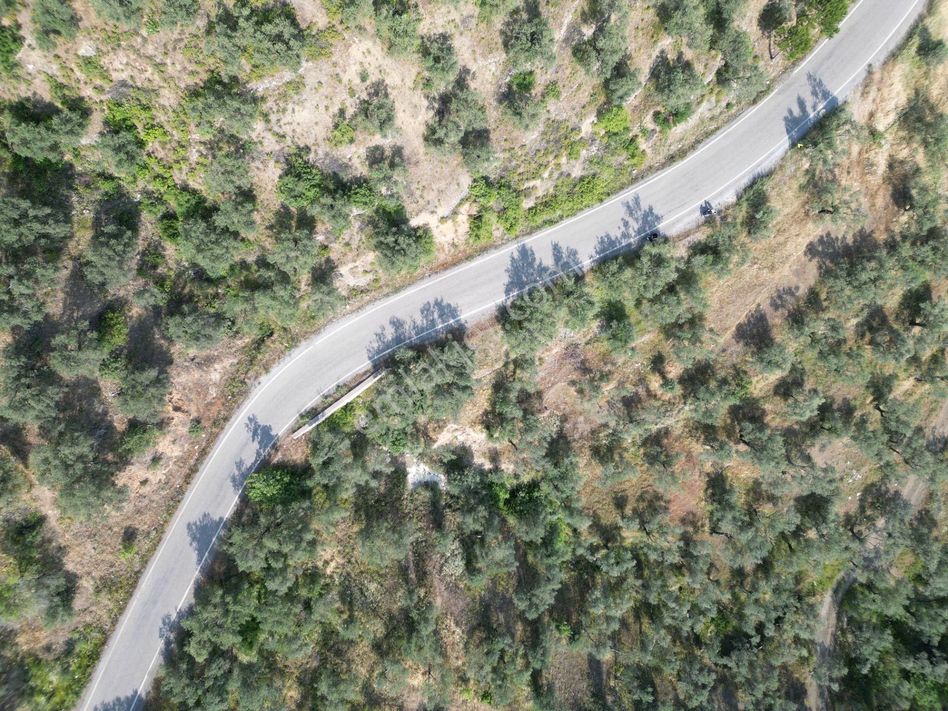 Fiyat Düştü Doyran Yoluna Cephe Deniz Manzaralı Zeytinlik - Görsel 13
