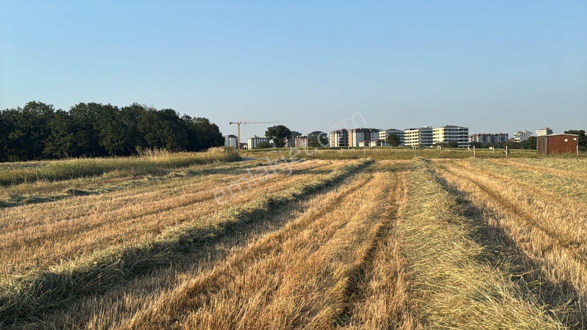 Tekirdağ Çerkezköy İstasyon Satılık Arsadan 191m2 Hisse