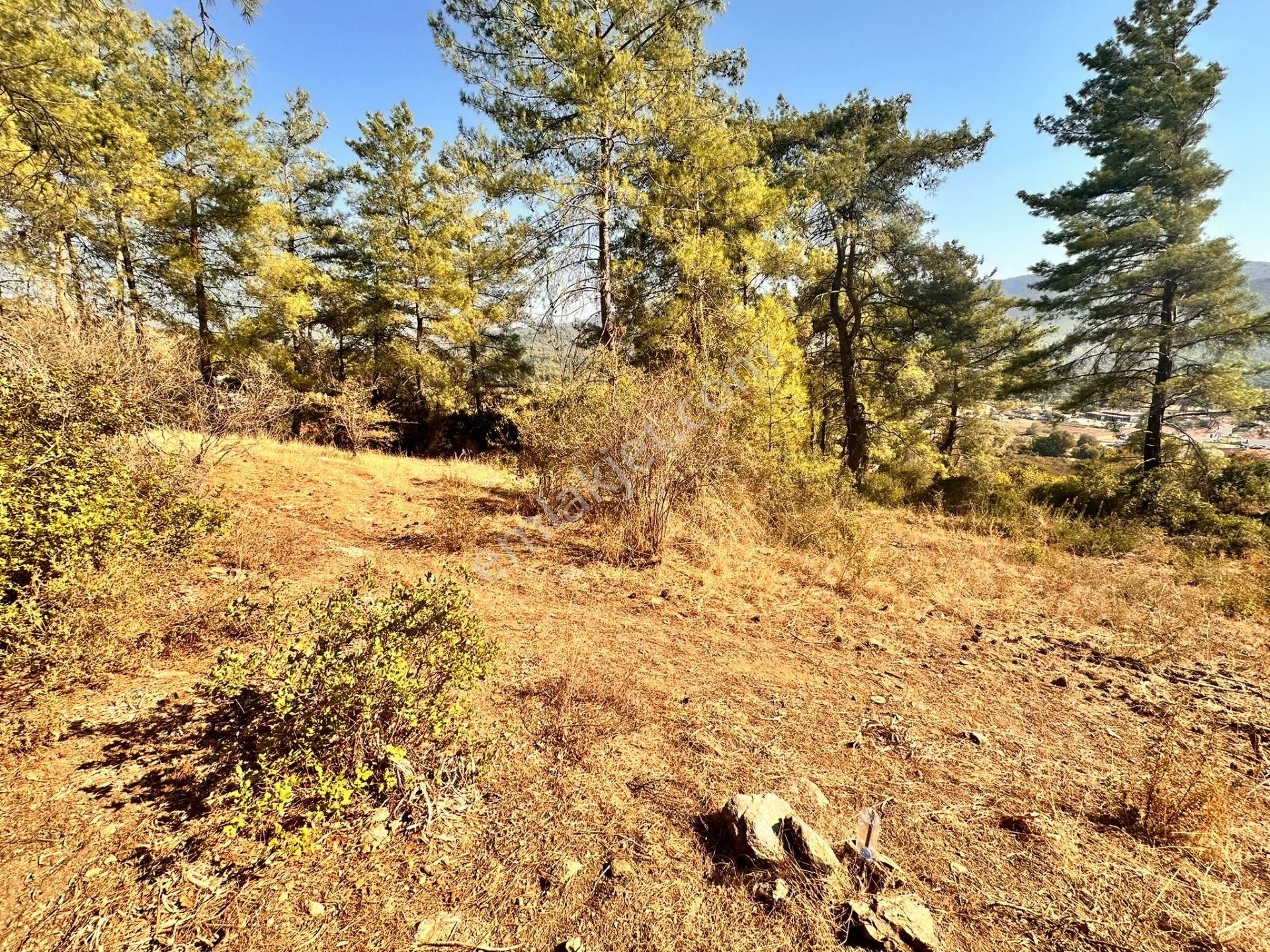Lotus'tan Marmaris Çetibeli'de 542 M2 Satılık Tarla