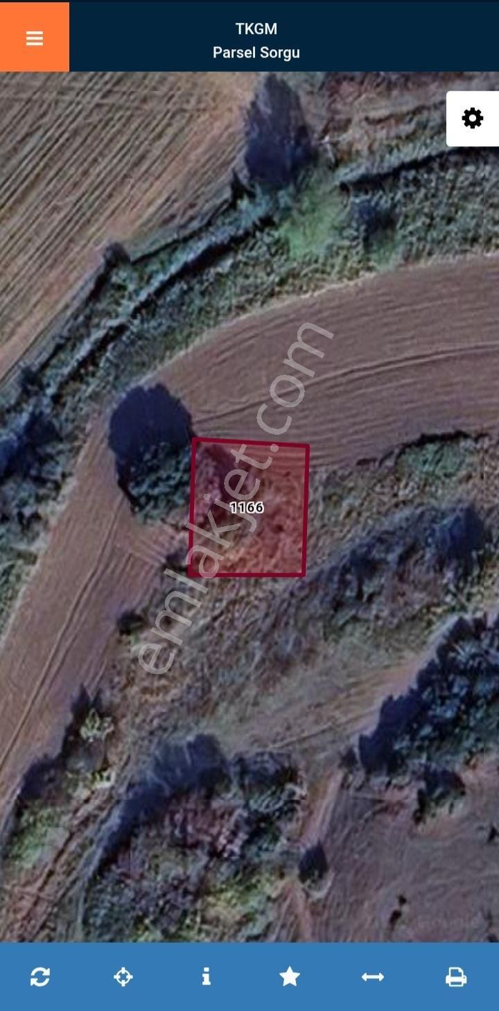 Karacabey Canbazda Satılık 500 M2 Fırsat Tarla