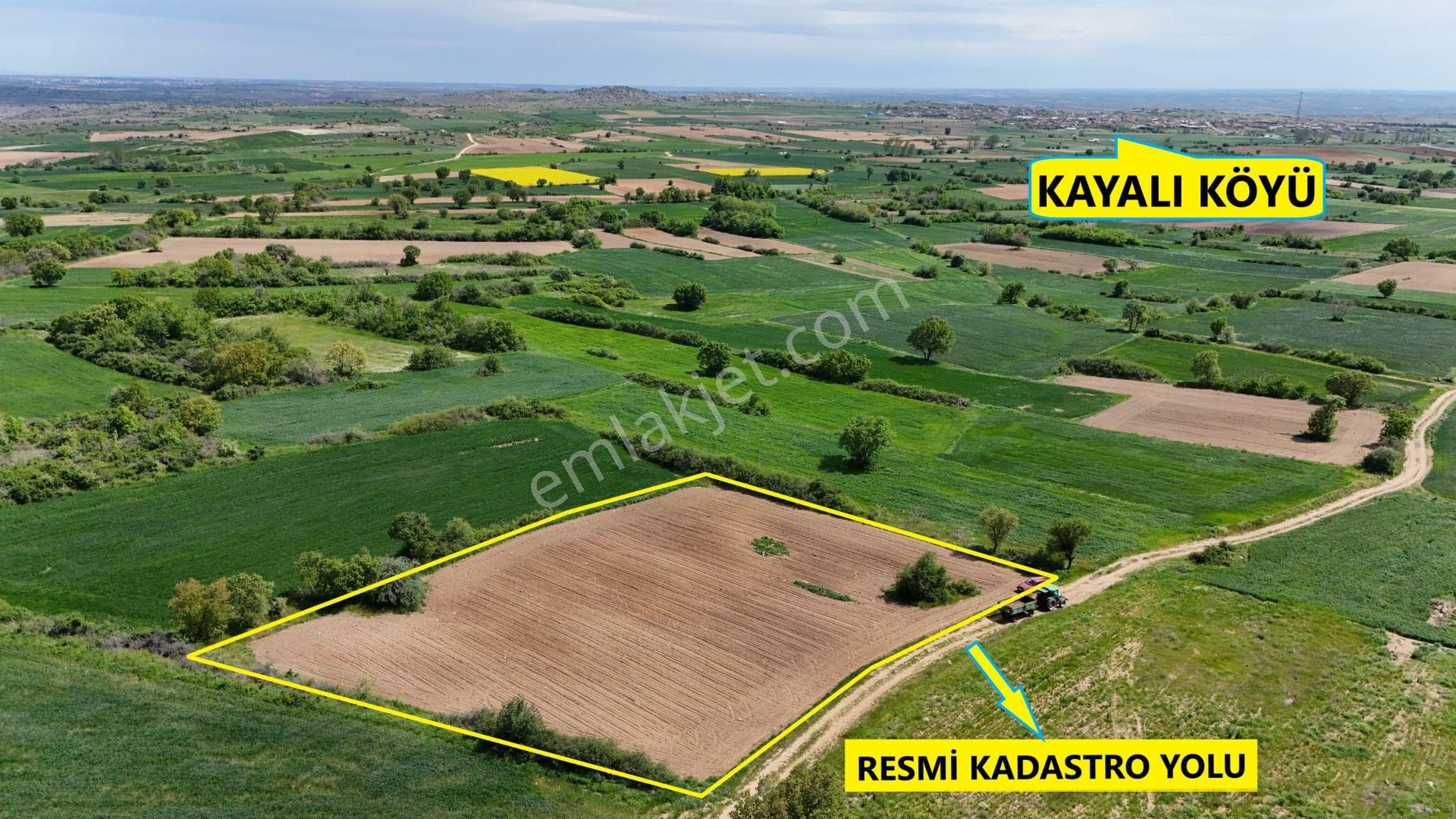 Sahibinden Kırklareli Kayalıda 4.427m2 Yola Cephe Arazi