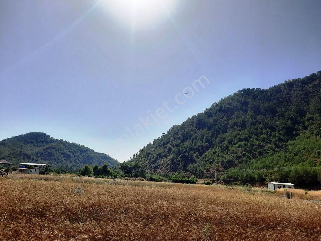 Dalaman Karacaağaçda 454 M2 Müstakil Tapulu Arazi Satılık