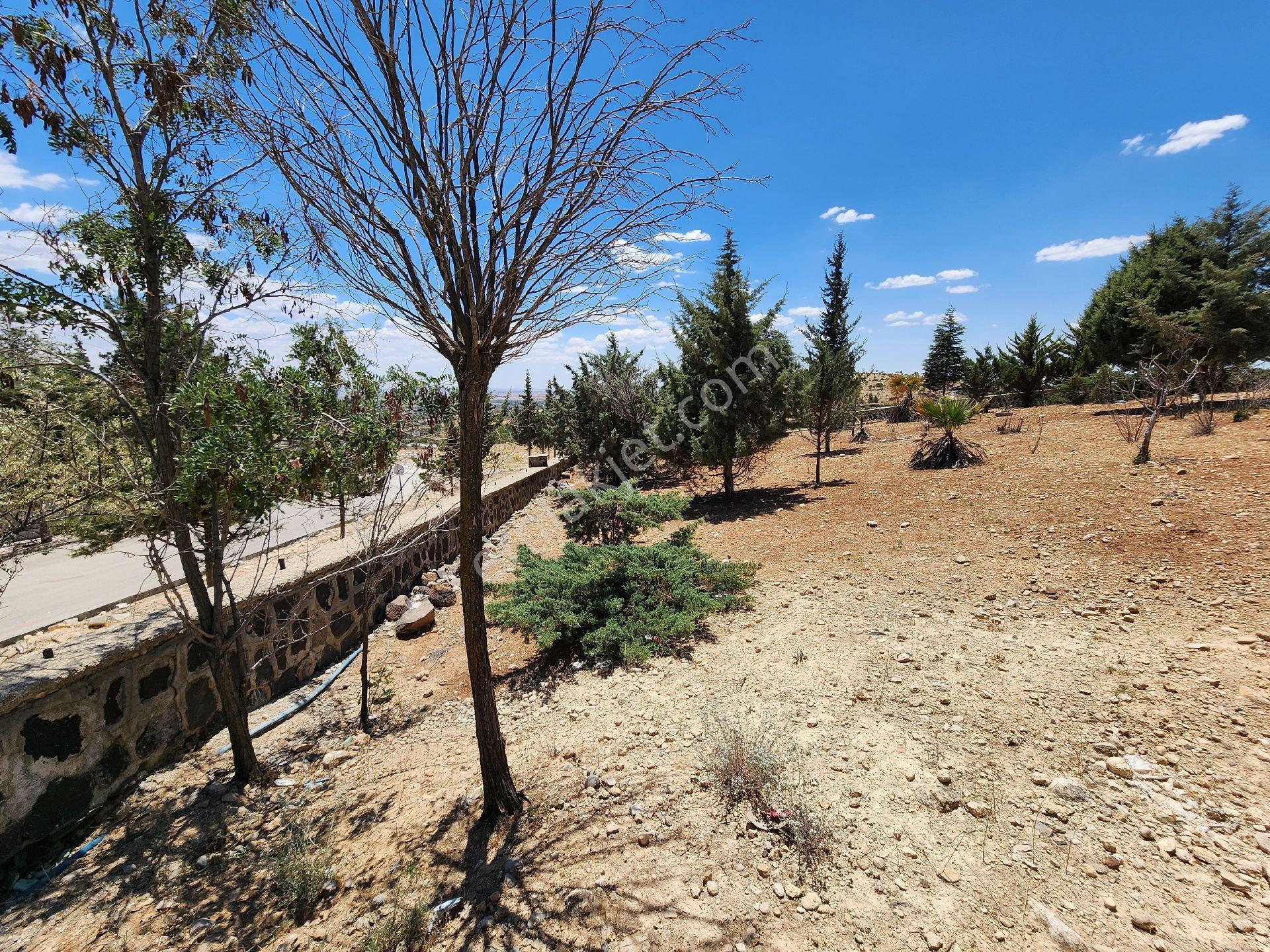 Bayar Gayrimenkulden Önü Açık Polis Evi Dibinde Mükemmel Konumlu Arsa - Görsel 12