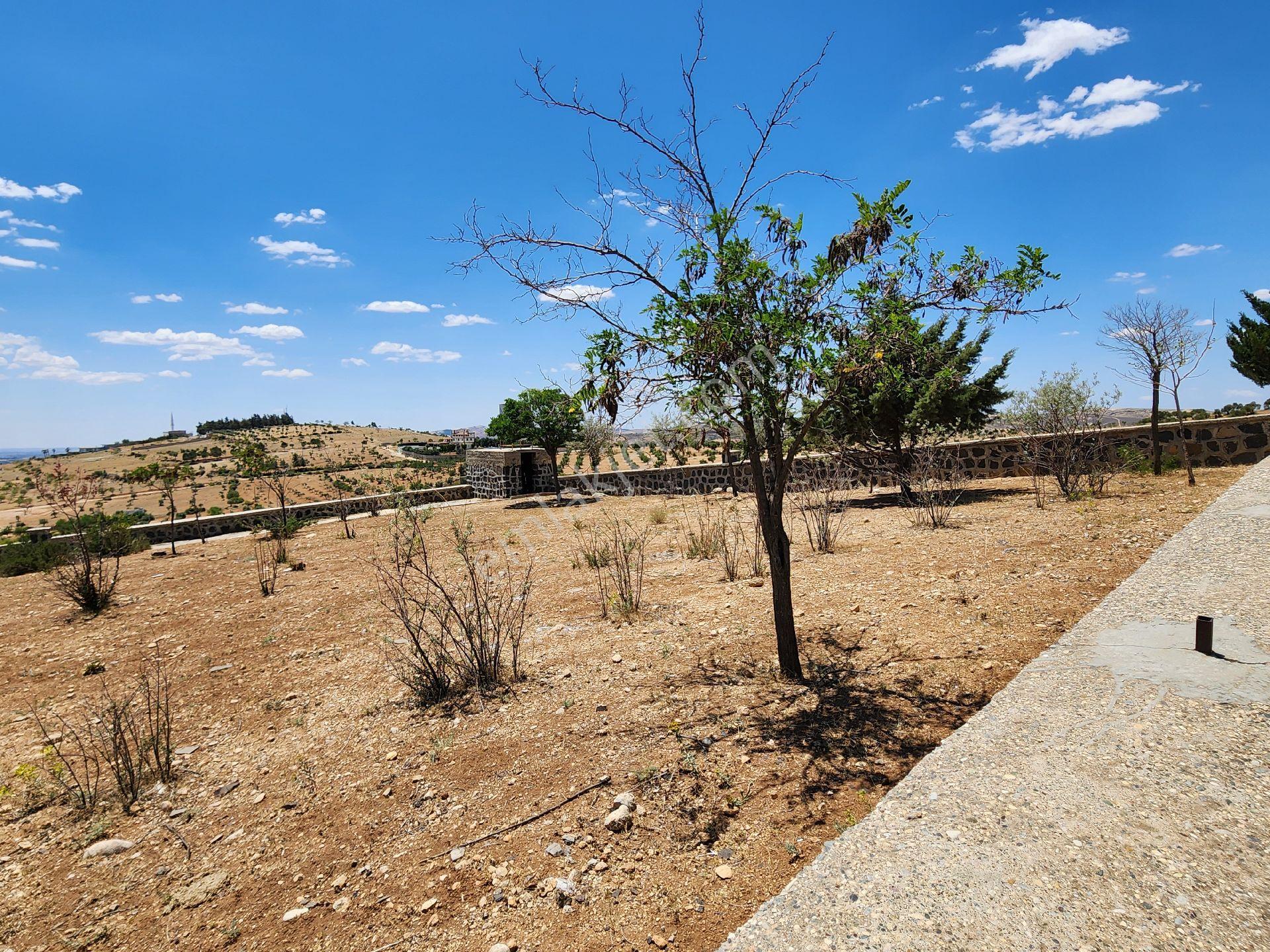 Bayar Gayrimenkulden Önü Açık Polis Evi Dibinde Mükemmel Konumlu Arsa - Görsel 19