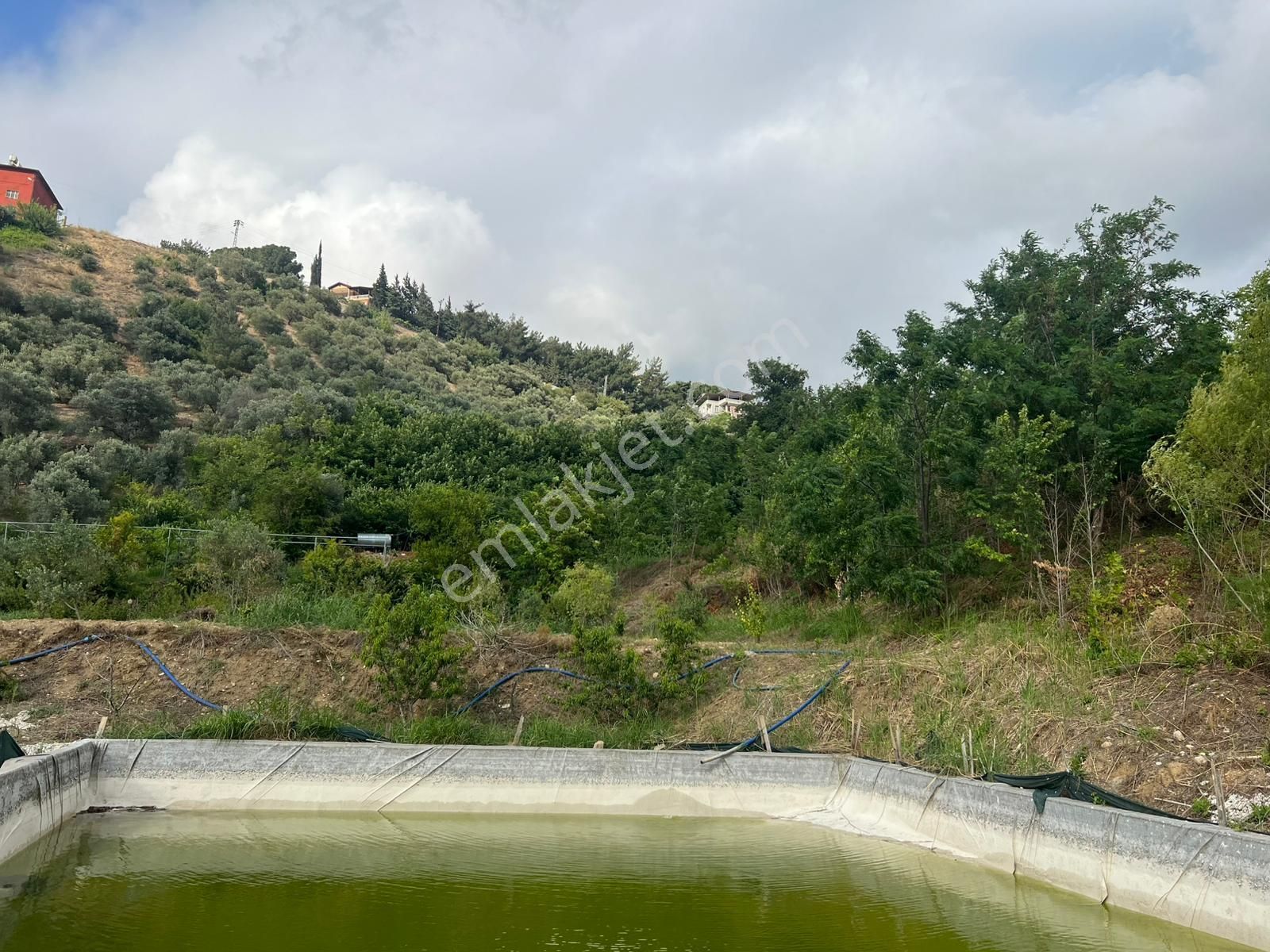 Belen Sarımazı Derebahçede Güney Cephe Tam Teşekküllü 18 Dönüm Çiftlik - Görsel 27