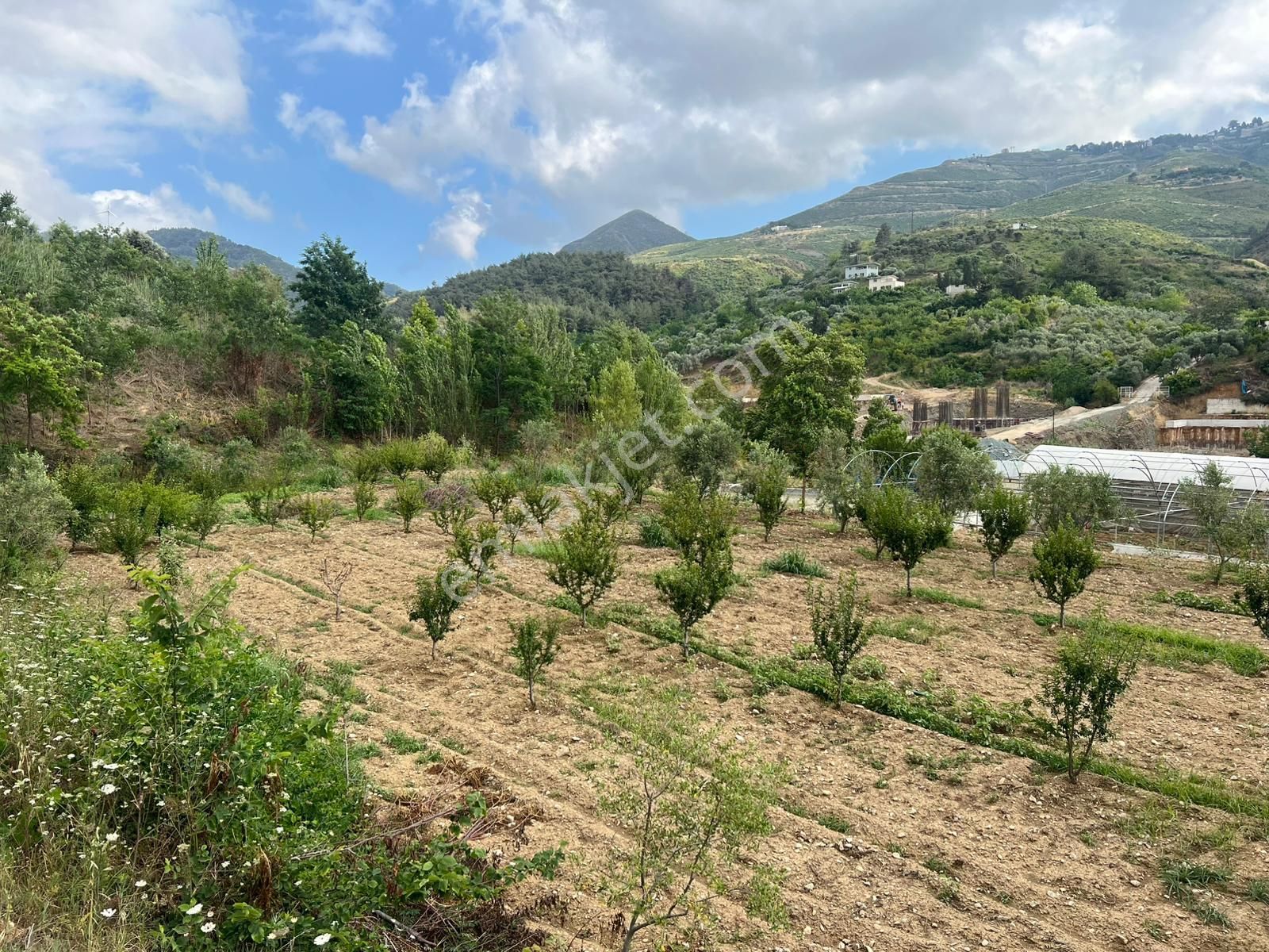 Belen Sarımazı Derebahçede Güney Cephe Tam Teşekküllü 18 Dönüm Çiftlik - Görsel 21