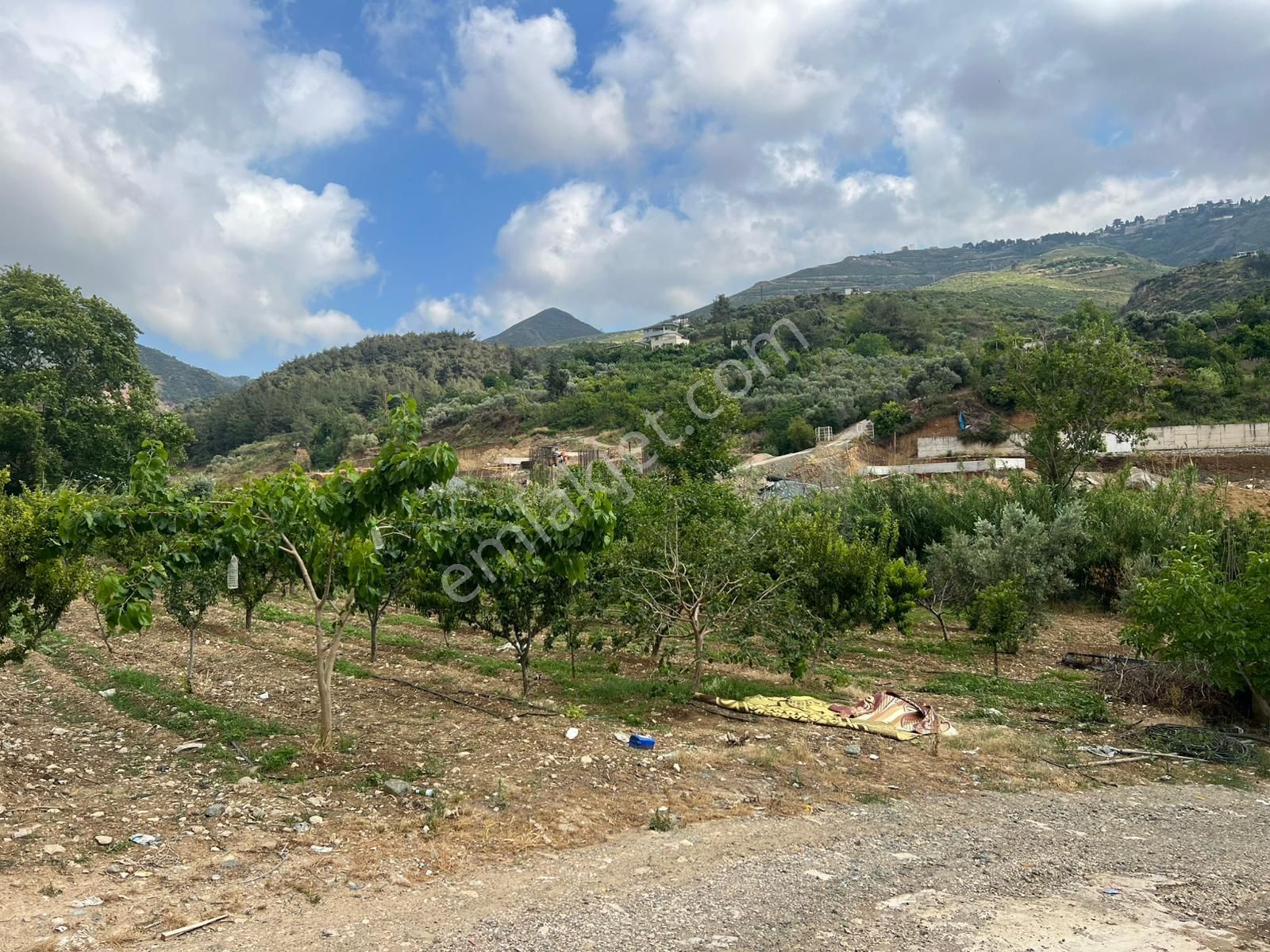 Belen Sarımazı Derebahçede Güney Cephe Tam Teşekküllü 18 Dönüm Çiftlik - Görsel 3