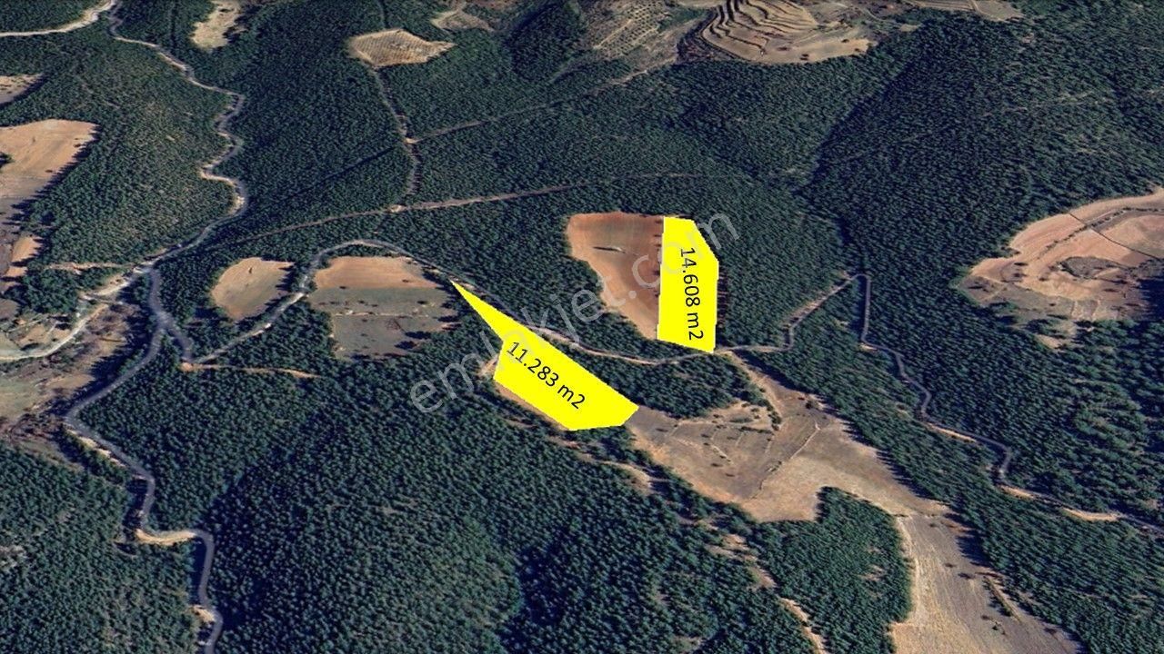Muğla/kavaklıdere'de Yatırımlık 25.891 M² Müstakil Tarla!