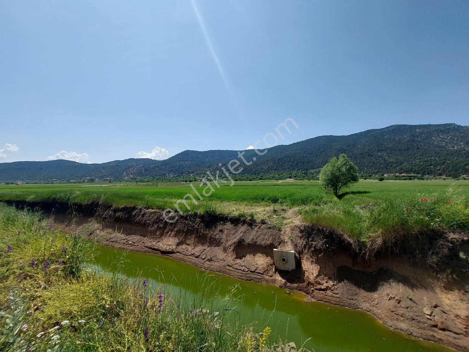 Çameli Bıçakçıda Satılık Kelepir Arazi 5,333 M2 Müstakil Tapulu Satılık