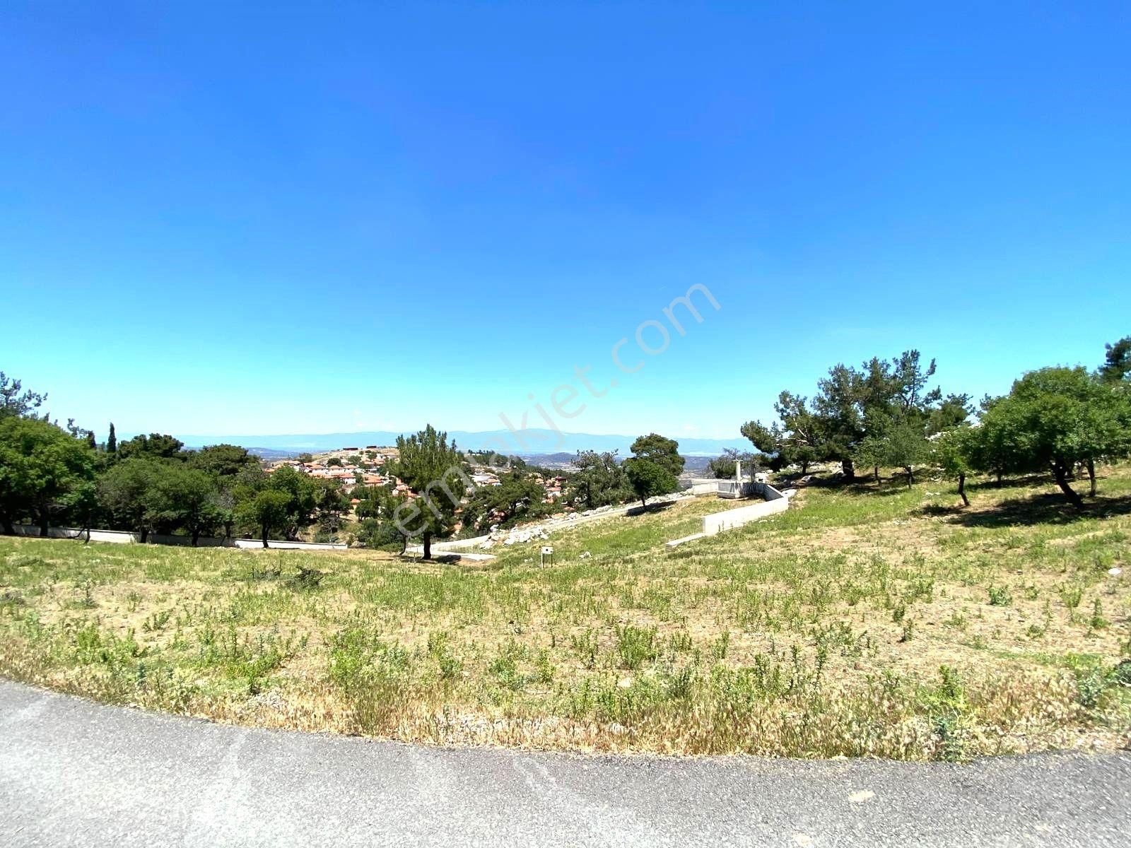 🟥🟥aktif'ten Burhaniye Kuyumcu'da Deniz Doğa Manzaralı 1868m2 Satılık Bağ Bahçe🟥🟥