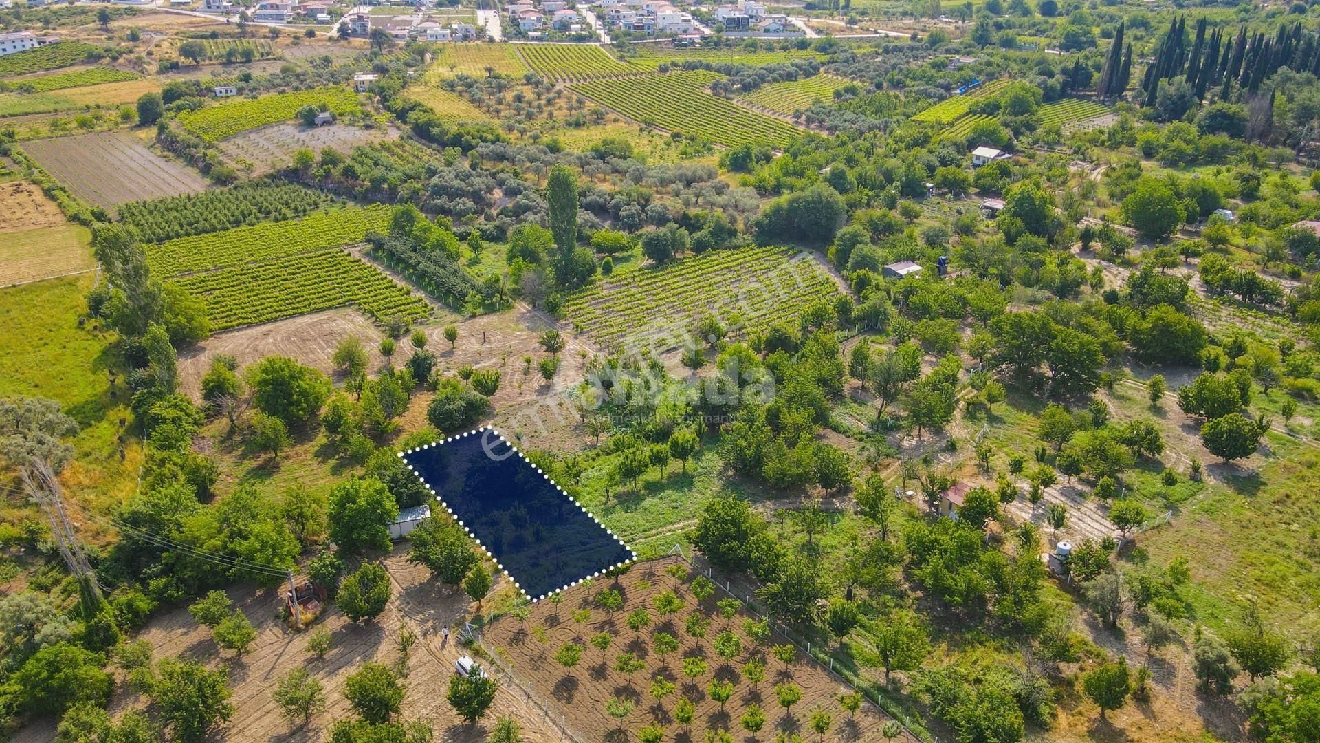 İzmir Selçuk Burgaz'da Doğayla İç İçe Satılık Kirazlık Tarla