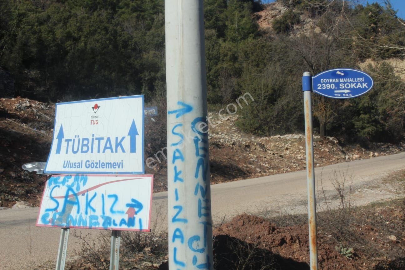 Hazır Kurulu Düzen Bahçe