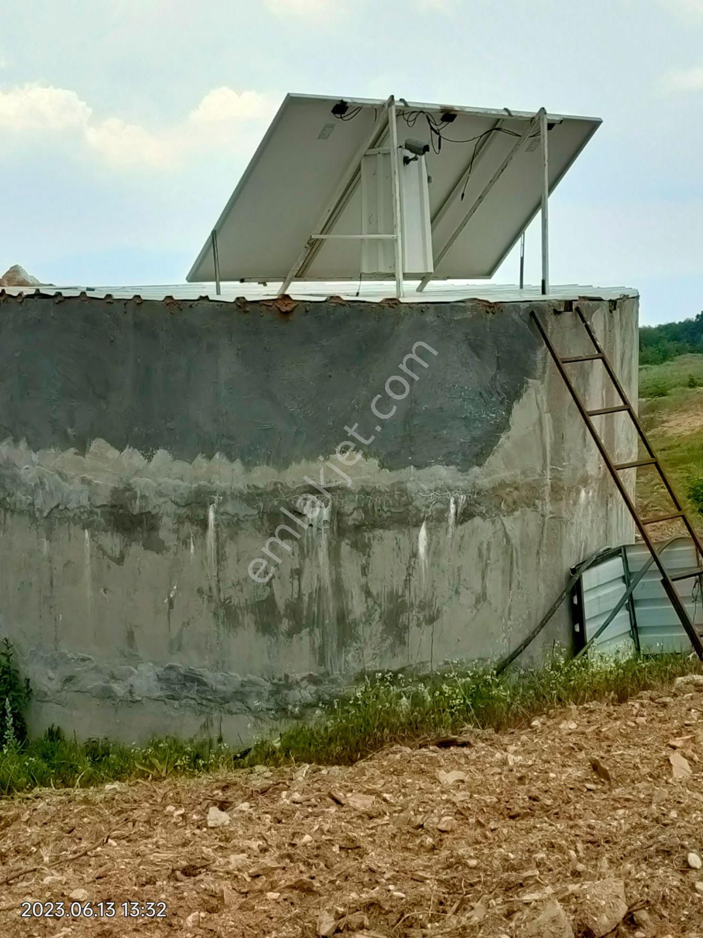 Bozdoğan Asma Mahallesin De Satılık 74 Dönüm Kestanelik