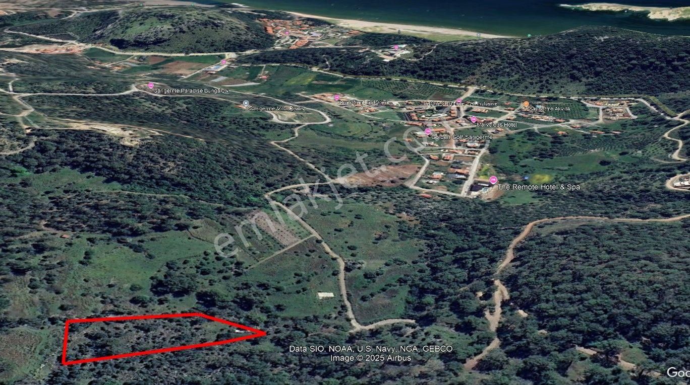 Muğla Ortaca Sarıgerme Mahallesinde Yatırımlık Zeytinlik