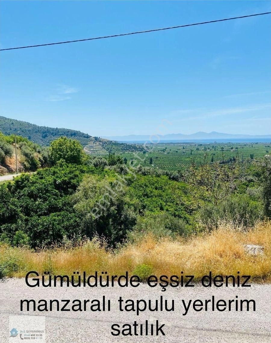 Eşsiz Konumu Ve Avantajlarıyla Gümüldür Mandalina Bahçesi! - Görsel 4