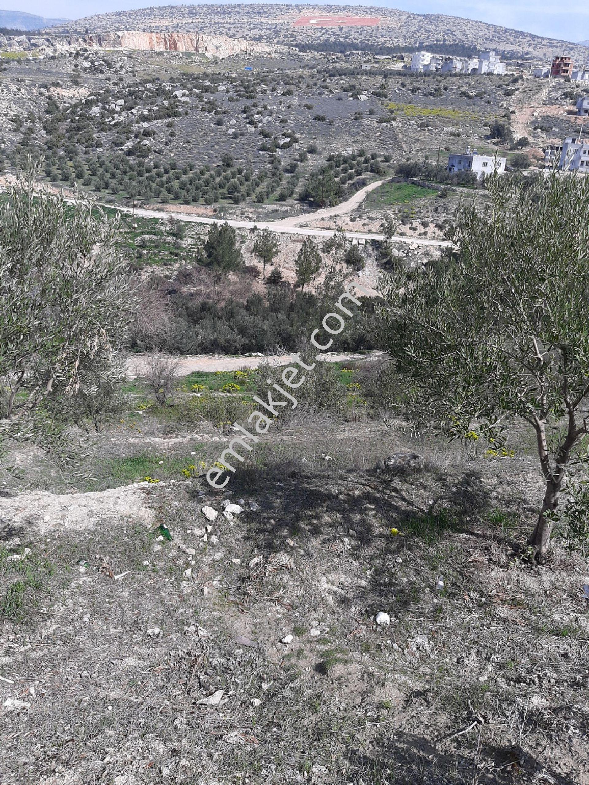 Meydan Mhde Yola Sıfır 875 M2 Bodrum+3 Kat İmarlı Arsa - Görsel 15