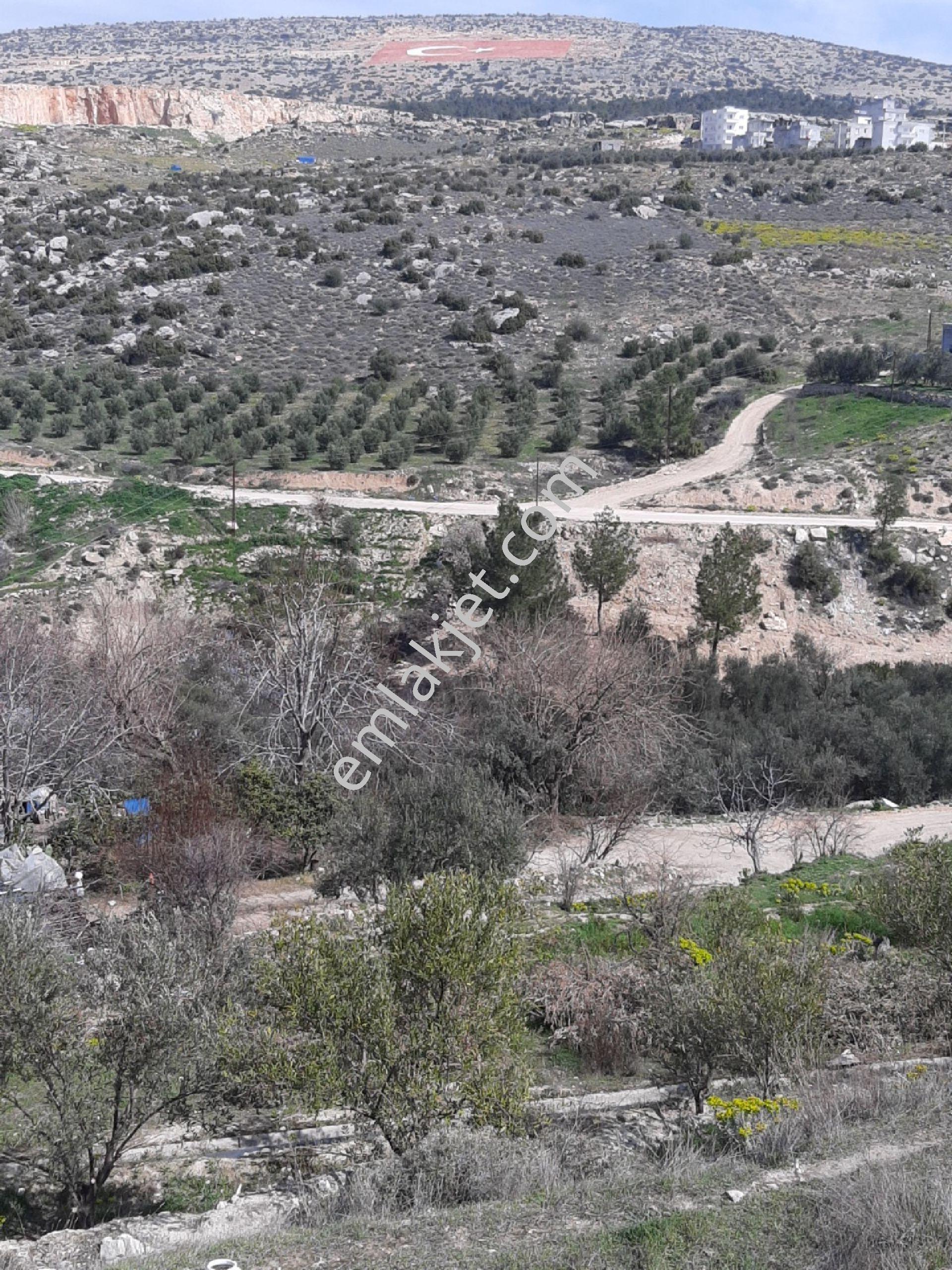Meydan Mhde Yola Sıfır 875 M2 Bodrum+3 Kat İmarlı Arsa - Görsel 16