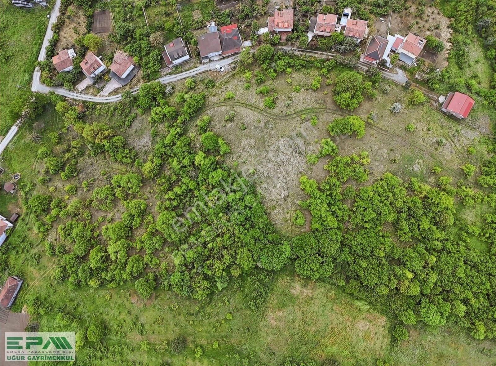 | Epa Uğur | İstanbul'a 1.5 Saat Satılık Yerleşik Alan İçi Arsa