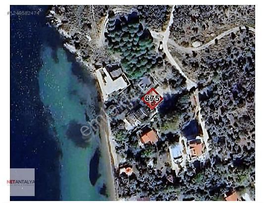 Marmara Adası'nda Sahile Yakın Yatırımlık Arsa | Net Antalya