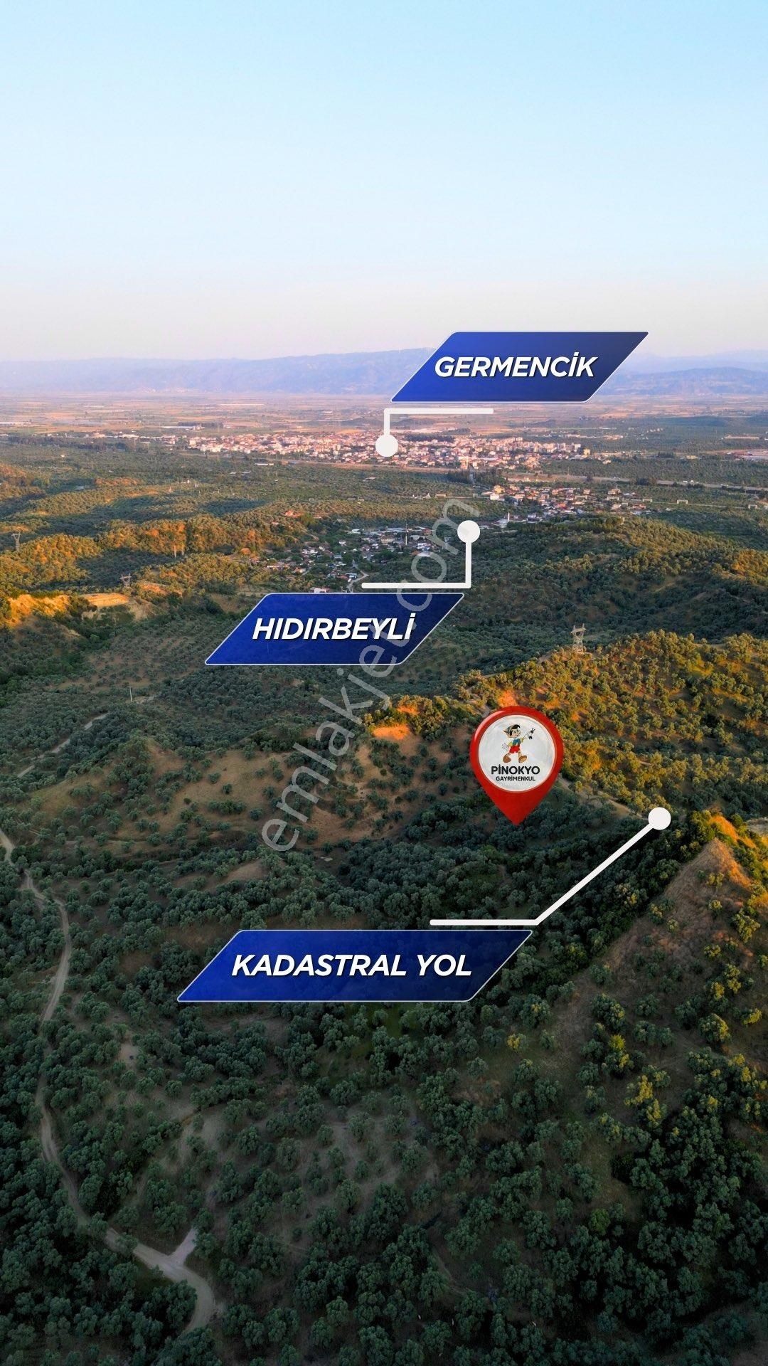 Germencik Hıdırbeyli'de Kadastro Yola Cephe Tek Tapu Zeytinlik - Görsel 21