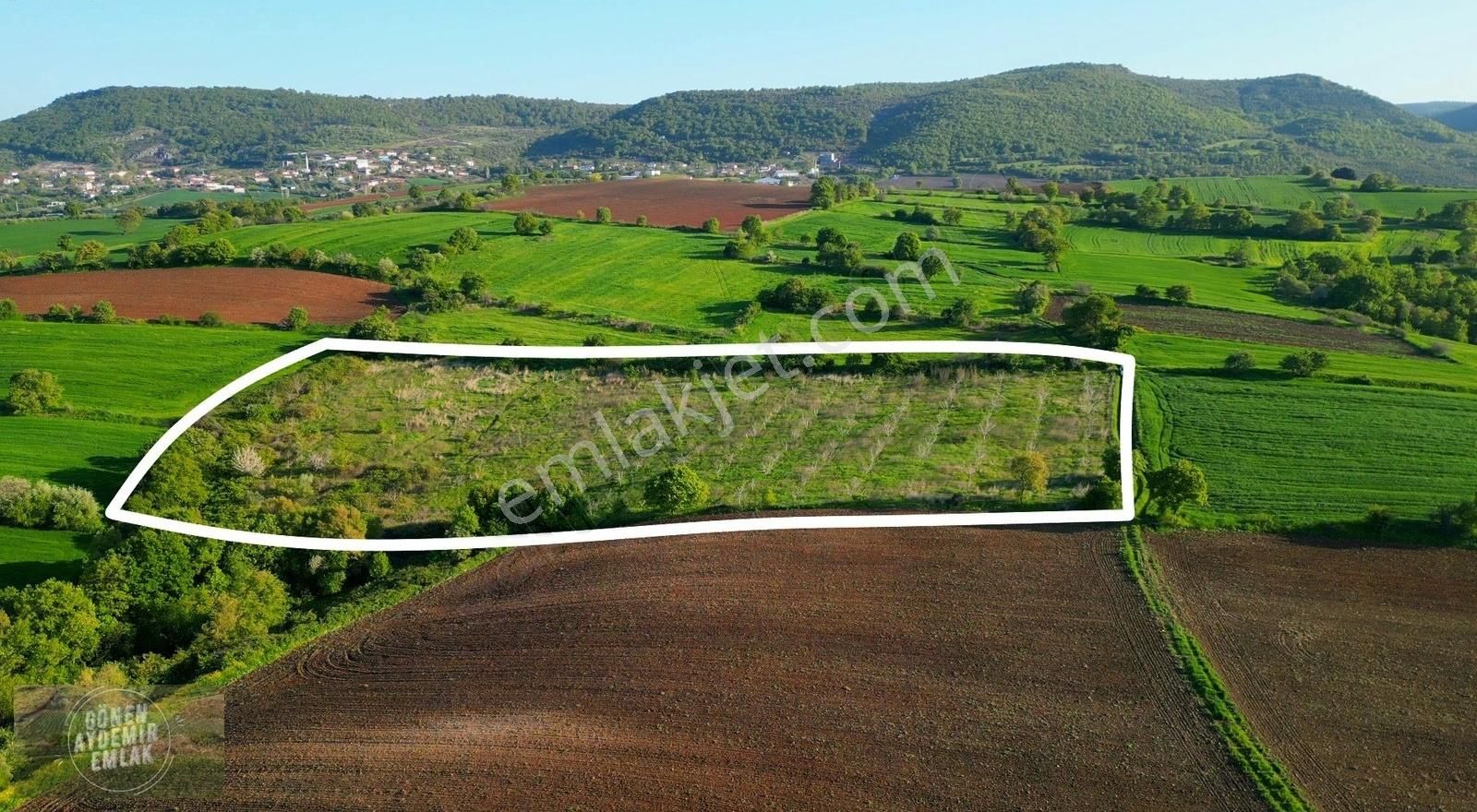 Kınalarda Deniz Manzaralı 14.500m² Ceviz Bahçesi