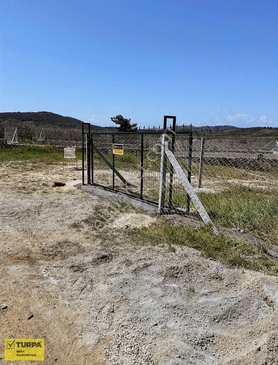 Aliağa Fatih Mahallesinde Satılık 502 M2 Zeytinlik - Görsel 17