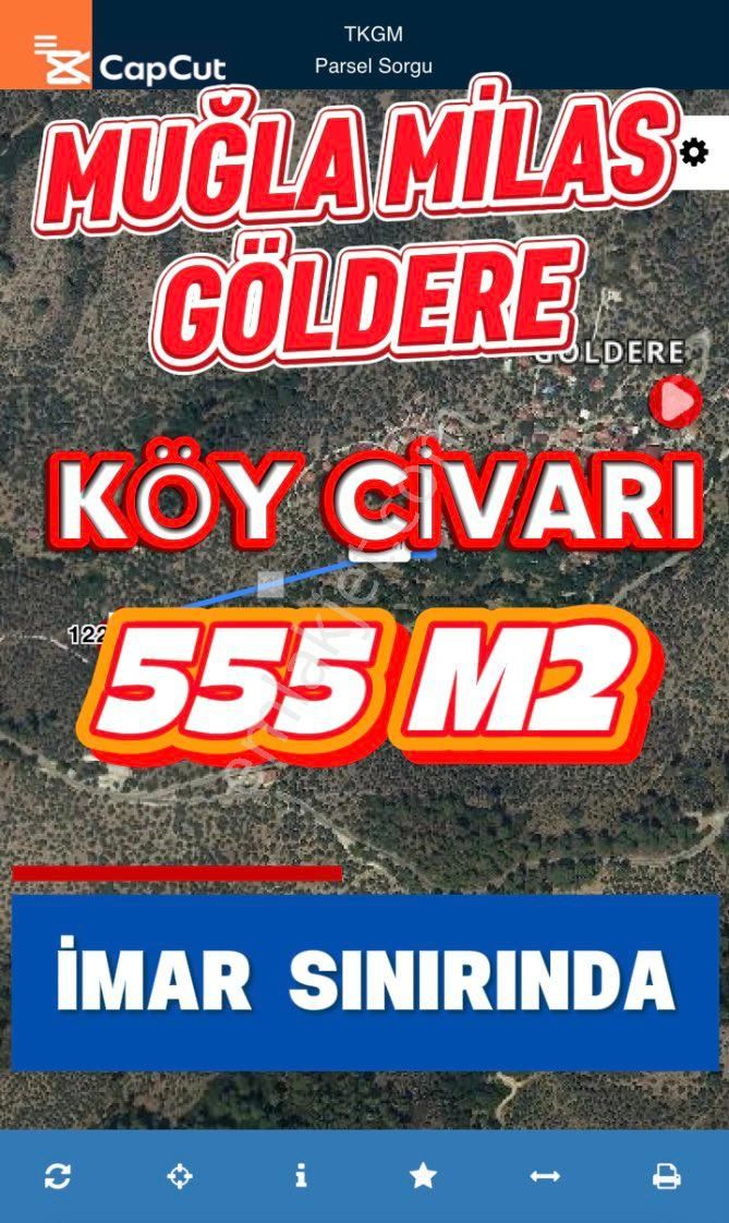 Muğla Milas Göldere’de Bodrum Yoluna Yakın Köy Yerleşik Alan İmarına Sınır Prestijli Zeytinlik!