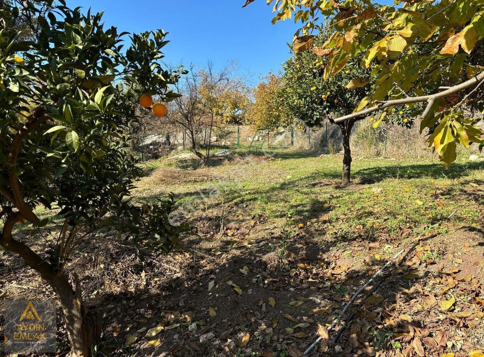 Aydın'dan Değirmençay'da 880 M2 Arsa