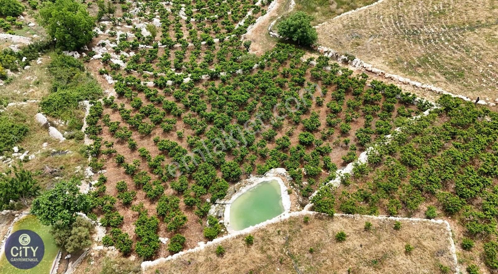 Erdemli Sıraç'ta Deniz Ve Şehir Manzaralı Köy İçi İmarlı Arsa