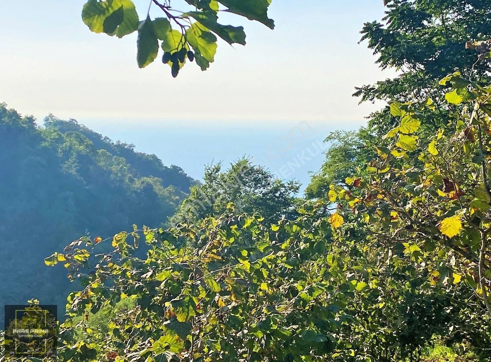 Pars Prime I Perşembe'ninparis'i Çaytepe'de I Muhteşem Parseler