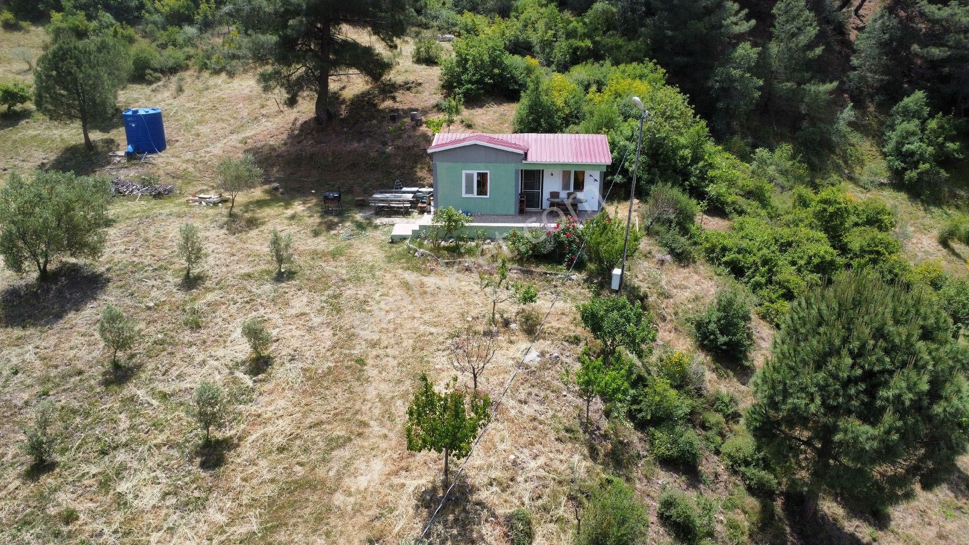 Bergama Kozak Yolu Yerlitahtacıda Sahibinden Satılık