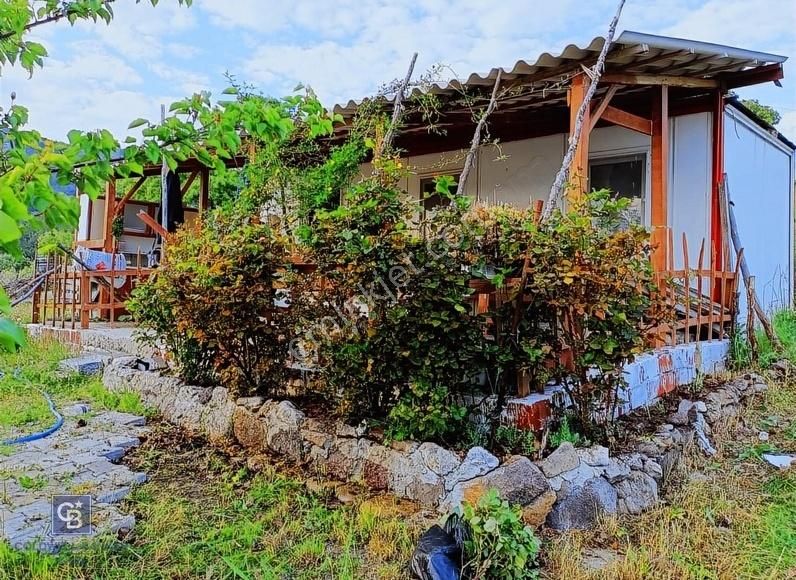 Cb King'den Muhteşem Bergama Kozlucada Satılık Hobi Bahçesi