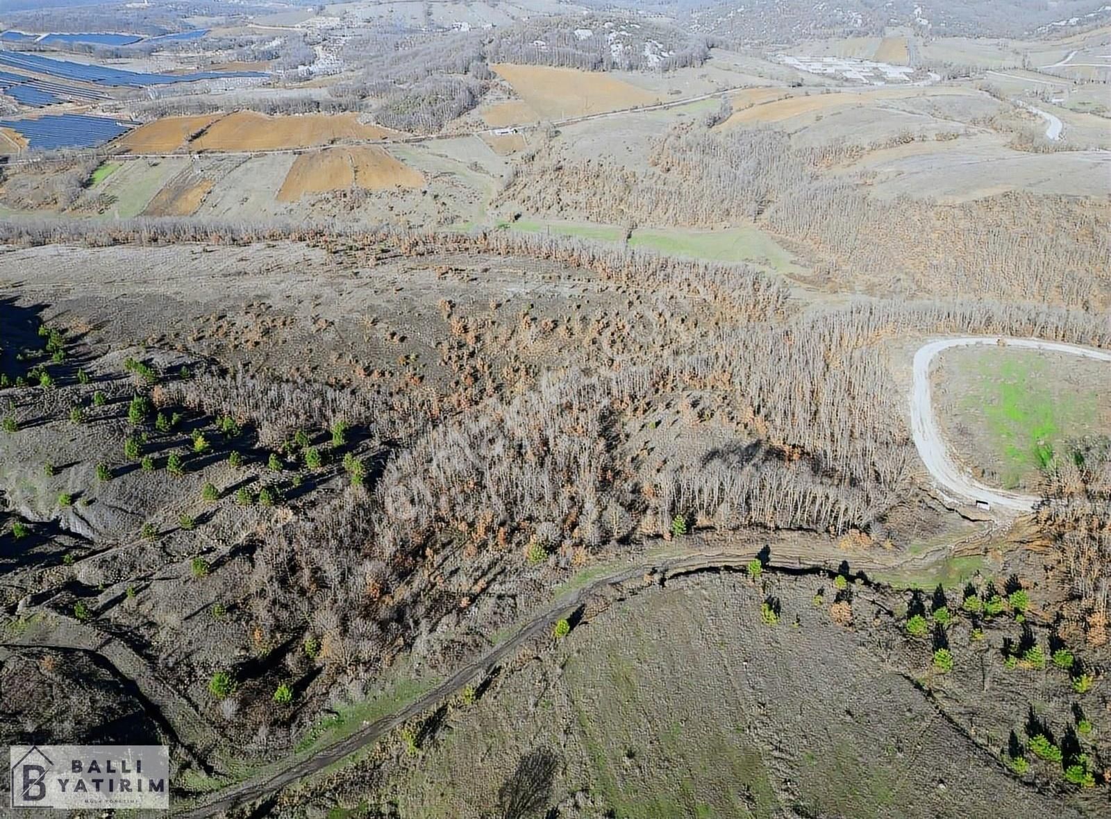 Ballı Yatırım'dan Nilüfer Korubaşında Tek Tapu 4126 M2 Tarla