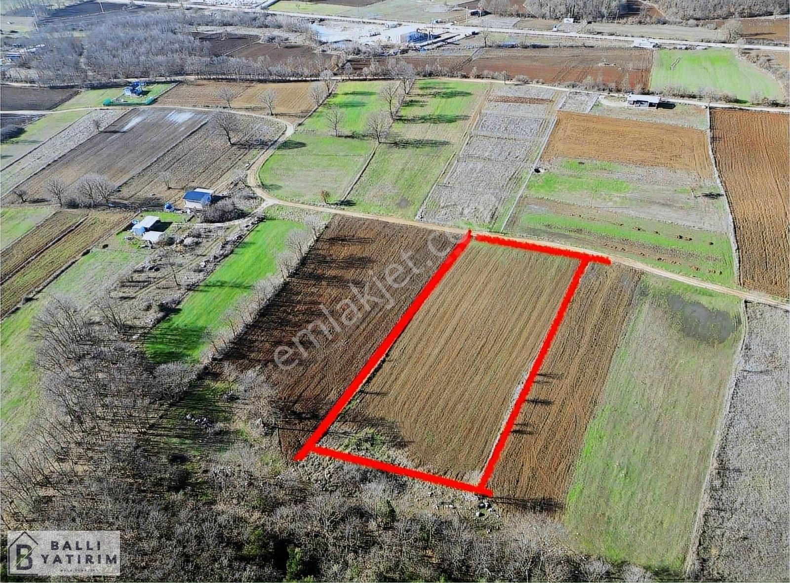 Ballı'dan Unçukurunda Satılık Yola Cephe 4500m2 Tek Tapu Tarla - Görsel 5