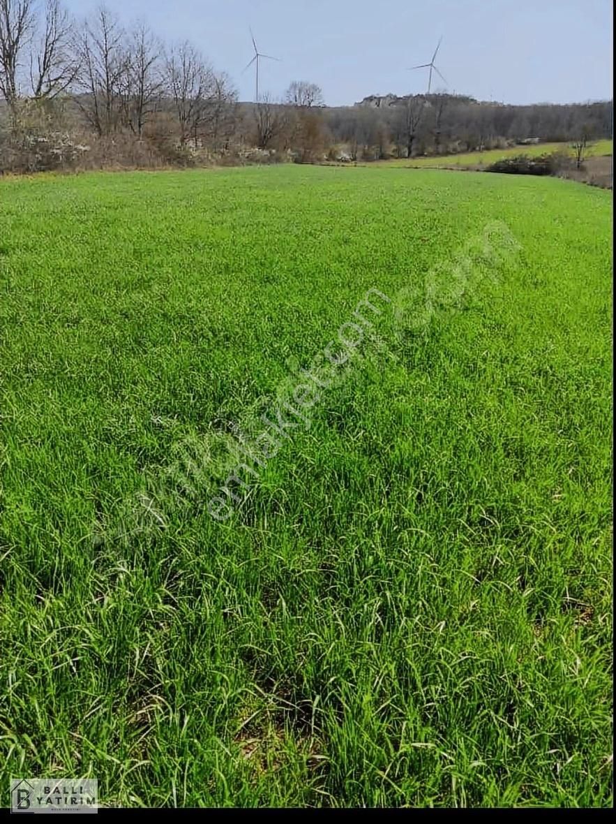 Ballı'dan Unçukurunda Satılık Yola Cephe 4500m2 Tek Tapu Tarla - Görsel 12