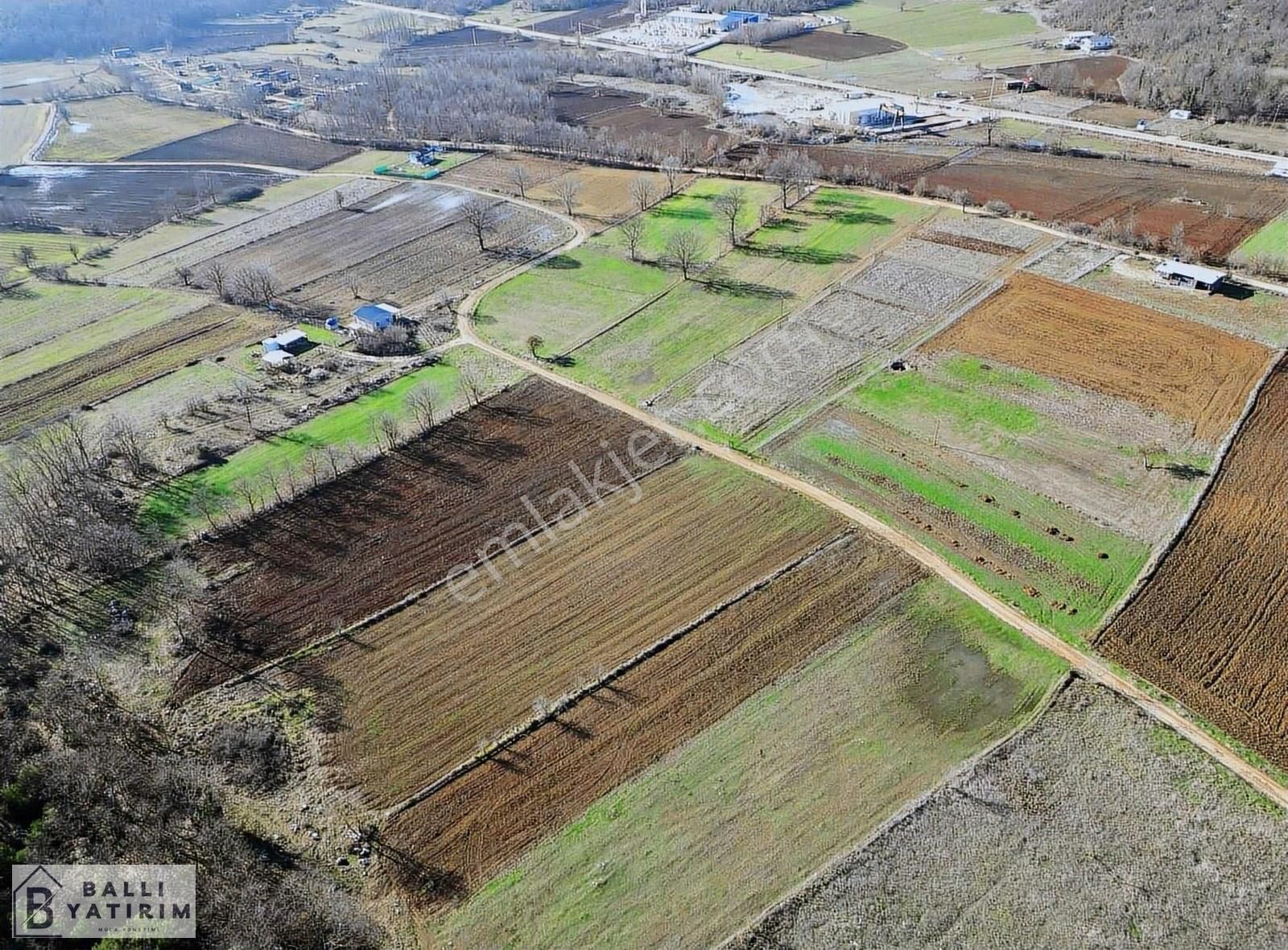 Ballı'dan Unçukurunda Satılık Yola Cephe 4500m2 Tek Tapu Tarla - Görsel 9