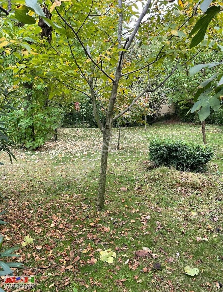 ꧁irp Trio Gyo ꧂ 7+2 Triplex Tam Müstakil Kiralık Villa - Görsel 13